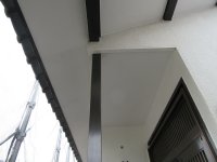 IMG_6710
